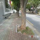 삼문로 아시아투데이