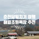 초원목장 | 춘천 당일치기 데이트코스 동물먹이체험 가능한 해피초원목장 방문후기