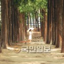 향기가있는풍경 이미지