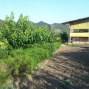 람세스한우농장 이미지