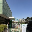 포레멍 | [반려견동반] 대형견들의 천국!! 담양 반려견 동반 카페 멍포레 내돈내산 후기!!!