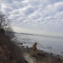 해안동백펜션 이미지