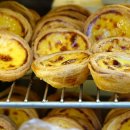 베어베이크 이미지