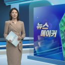 [뉴스메이커] &#34;심봤다!&#34; 지리산 &#39;대형 가족&#39; 산삼 발견 / 연합뉴스TV (YonhapnewsTV) 이미지