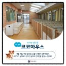 코코 반려견 호텔 이미지
