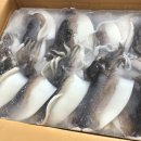 지엠푸드 이미지