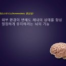 호메오스타시스(항상성) 이미지