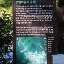 부산근대역사관 이미지