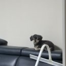 진호사 | 대부분의문제는100미터를누구보다빨리달리면해결돼 (10/20-10/26)