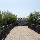 평화의 발 이미지