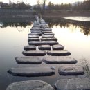 산새소리 이미지