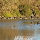 조천축산 이미지