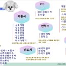 대원컴퍼니