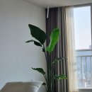 생활목공 중급 | 몬스테라즈 인테리어북 30일 프로젝트 - Day 21- 인테리어 전 준비 사항(3)