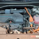 루페스빅풋 디테일링센터 포항점 이미지