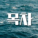 13번째고양이 이미지