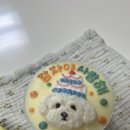 멍멍과자점 이미지