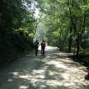 숲속의 하루 이미지