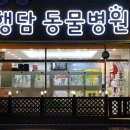 거산동물병원 티스토리