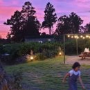 제주에산다면 이미지