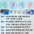 핑퐁핑퐁 탁구교실(화/목요일 14:30 / 세진탁구장) 이미지