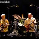 엠지에스 이미지