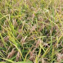 황정 | 승봉도 당일치기 여행 | 떠나지 않을 이유가 없다! 인생 최고의 가심비 폭발 순간들!