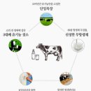 순영목장 | 요구르트]건강한 젖소가 주는 선물/단일목장 순영목장/ 유기농 우리울타리 플레인 요구르트 2L 대용량