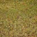 아침이슬농장 이미지