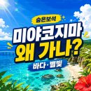 미스터제이케이렌트카 | 렌트카 없이 갔다가 하루 종일 후회했습니다ㅣ미야코지마 여행 가는법·렌트카·별빛투어 완전 정복