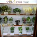 원할머니보쌈족발충북 이미지