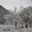 양촌리마을 이미지