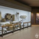 고남패총박물관 이미지