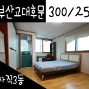 사직3동-3 이미지