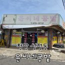 천안 윤씨네콩밭 구수한 청국장 내돈내산 솔직후기