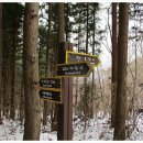 태청산 편백나무숲 트레킹길 이미지