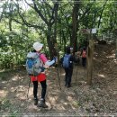 내곡동436 이미지