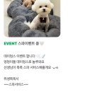 데이멍스 이미지