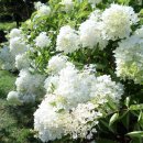 금파공업고등학교 이미지