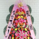 하이비스PC 이미지