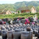 교동장독대마을 이미지