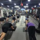 팀베어스복싱짐 이미지