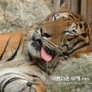 창용호키태권도 이미지