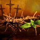 사순절과 고난주간을 지켜야 하는가? 성경적인가? 이미지