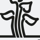 모스플렌트