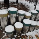 도레미스툴 이미지