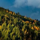 좋은사람들 이미지