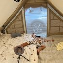 리틀보이 캠핑장 이미지