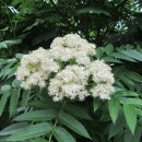 홈플러스 앞 이미지