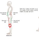 기능동작아카데미 이미지